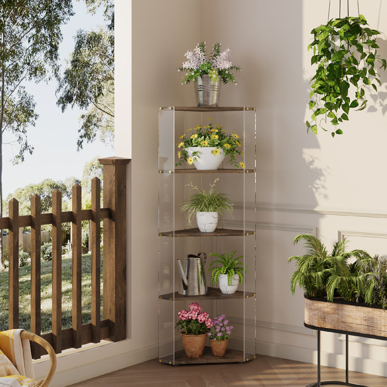 Glass shop corner bookshelf